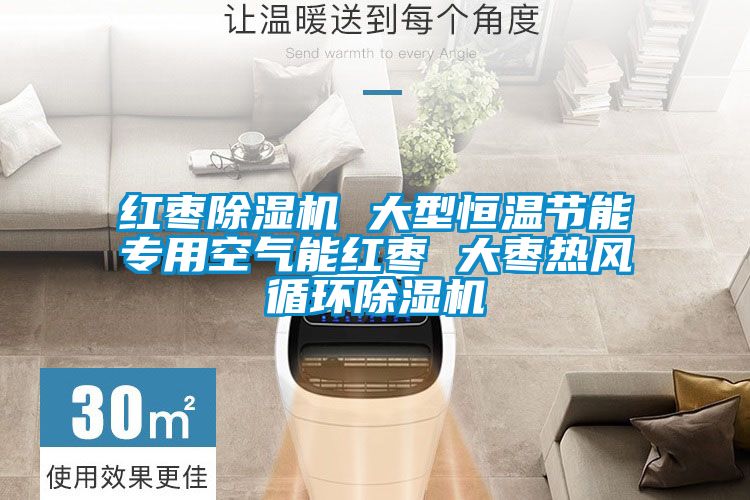 红枣除湿机 大型恒温节能专用空气能红枣 大枣热风循环除湿机
