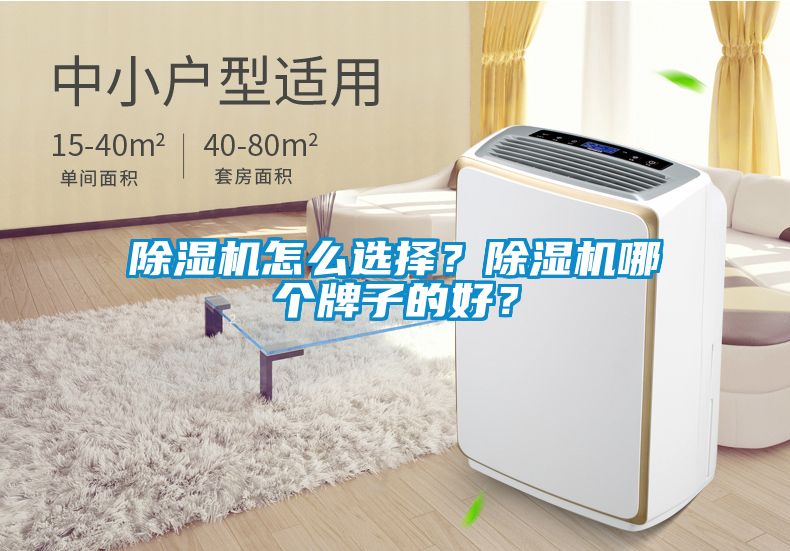 除湿机怎么选择？除湿机哪个牌子的好？