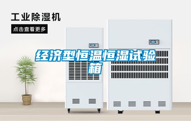 经济型恒温恒湿试验箱
