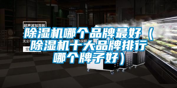 除湿机哪个品牌最好（除湿机十大品牌排行哪个牌子好）