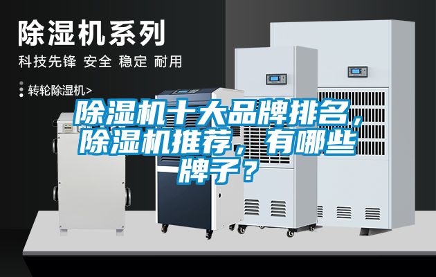 除湿机十大品牌排名，除湿机推荐，有哪些牌子？