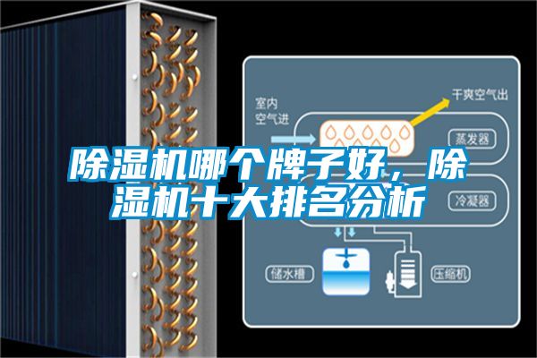 除湿机哪个牌子好，除湿机十大排名分析