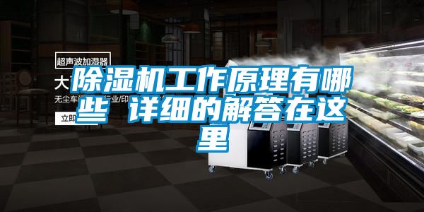 除湿机工作原理有哪些 详细的解答在这里