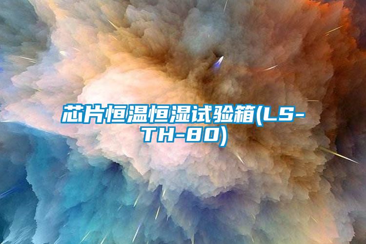 芯片恒温恒湿试验箱(LS-TH-80)