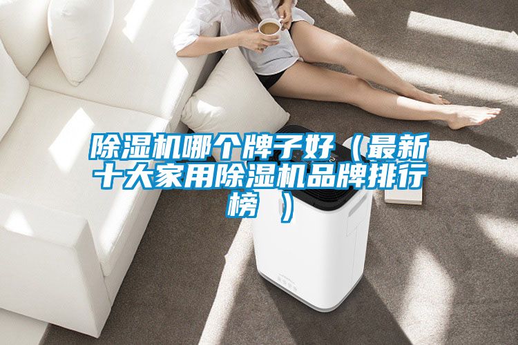 除湿机哪个牌子好（最新十大家用除湿机品牌排行榜 ）