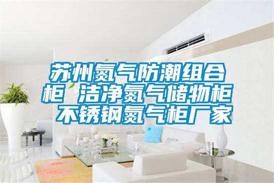 苏州氮气防潮组合柜 洁净氮气储物柜 不锈钢氮气柜厂家