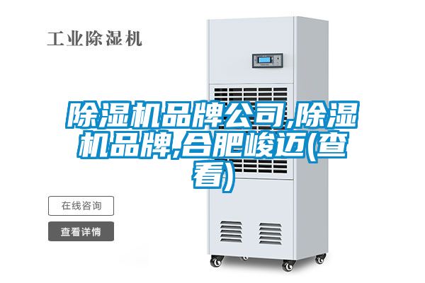除湿机品牌公司,除湿机品牌,合肥峻迈(查看)