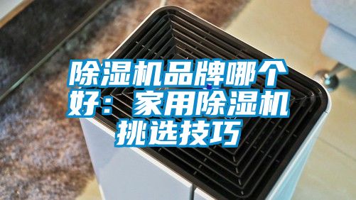 除湿机品牌哪个好：家用除湿机挑选技巧