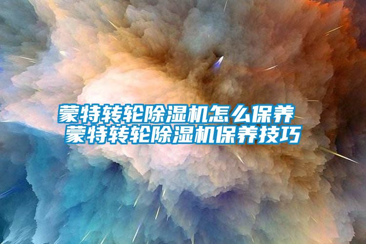 蒙特转轮除湿机怎么保养 蒙特转轮除湿机保养技巧
