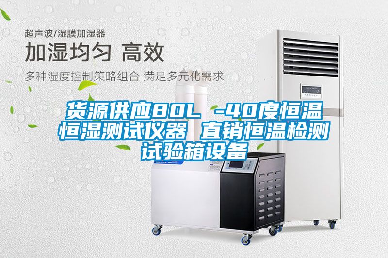 货源供应80L -40度恒温恒湿测试仪器 直销恒温检测试验箱设备