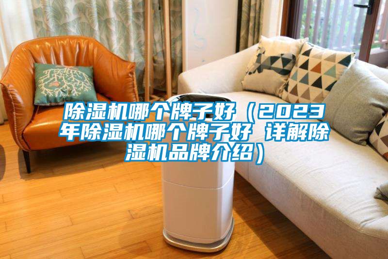 除湿机哪个牌子好（2023年除湿机哪个牌子好 详解除湿机品牌介绍）