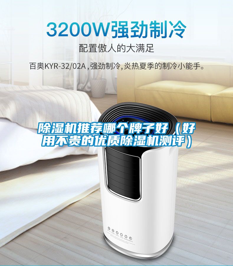除湿机推荐哪个牌子好（好用不贵的优质除湿机测评）