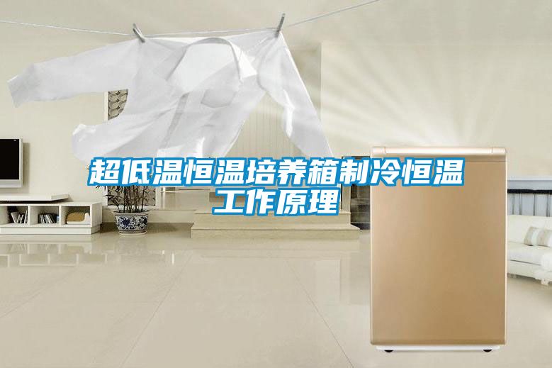 超低温恒温培养箱制冷恒温工作原理