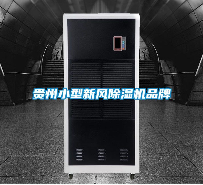 贵州小型新风除湿机品牌