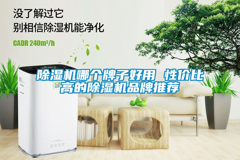 除湿机哪个牌子好用 性价比高的除湿机品牌推荐