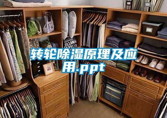 转轮除湿原理及应用.ppt