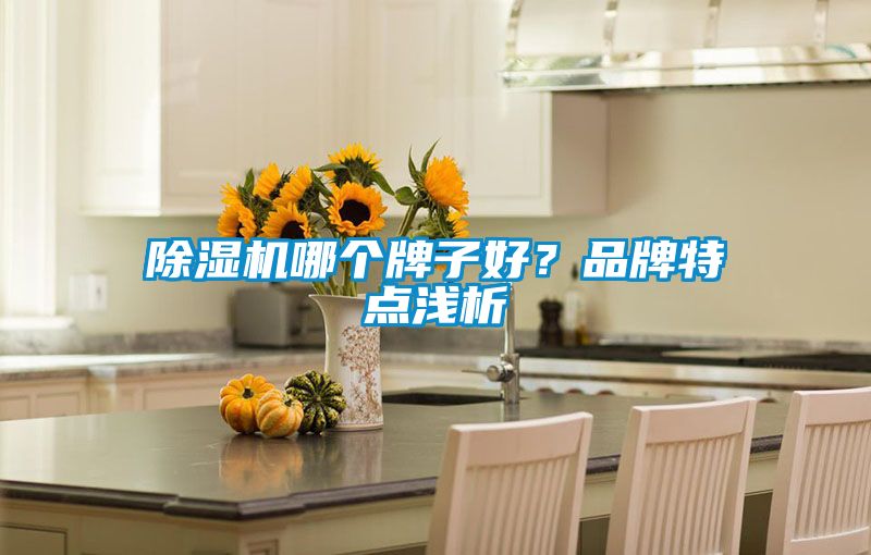 除湿机哪个牌子好？品牌特点浅析
