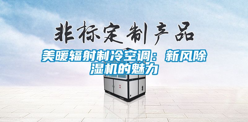 美暖辐射制冷空调：新风除湿机的魅力