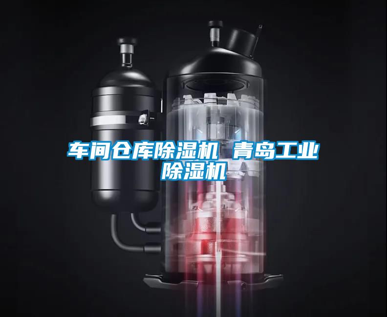 车间仓库除湿机 青岛工业除湿机