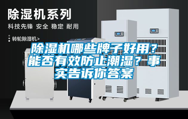 除湿机哪些牌子好用？能否有效防止潮湿？事实告诉你答案