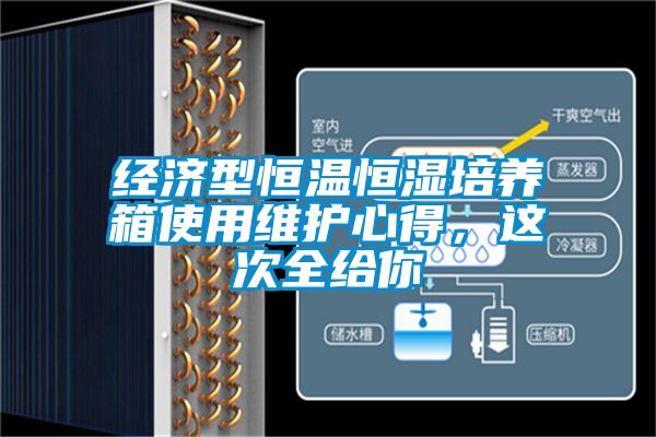 经济型恒温恒湿培养箱使用维护心得，这次全给你