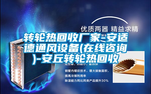 转轮热回收厂家-安适德通风设备(在线咨询)-安丘转轮热回收