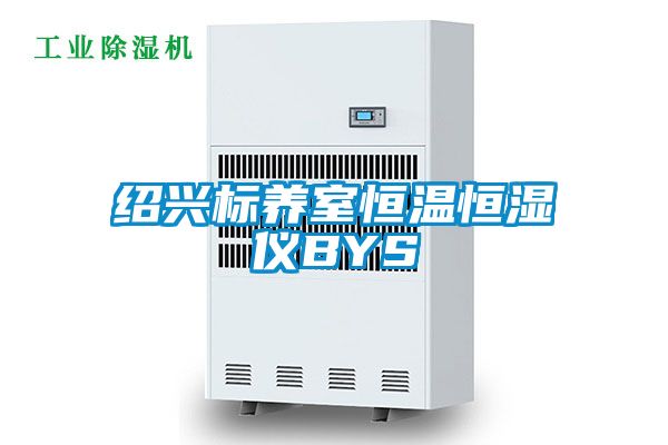 绍兴标养室恒温恒湿仪BYS