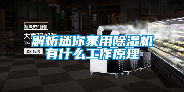 解析迷你家用除湿机有什么工作原理