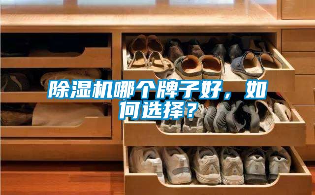 除湿机哪个牌子好，如何选择？