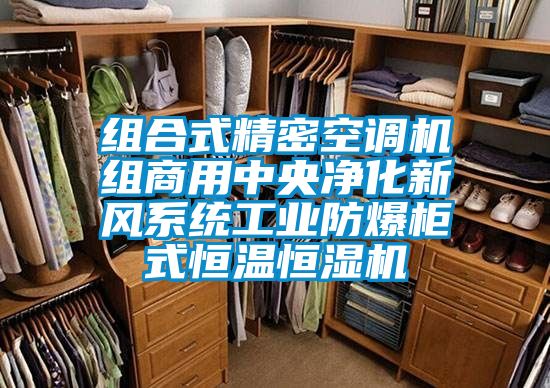 组合式精密空调机组商用中央净化新风系统工业防爆柜式恒温恒湿机