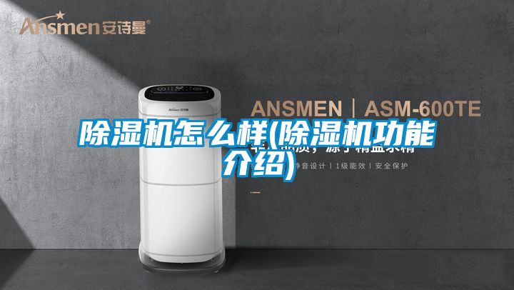 除湿机怎么样(除湿机功能介绍)