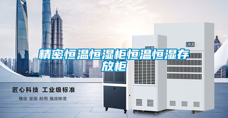 精密恒温恒湿柜恒温恒湿存放柜