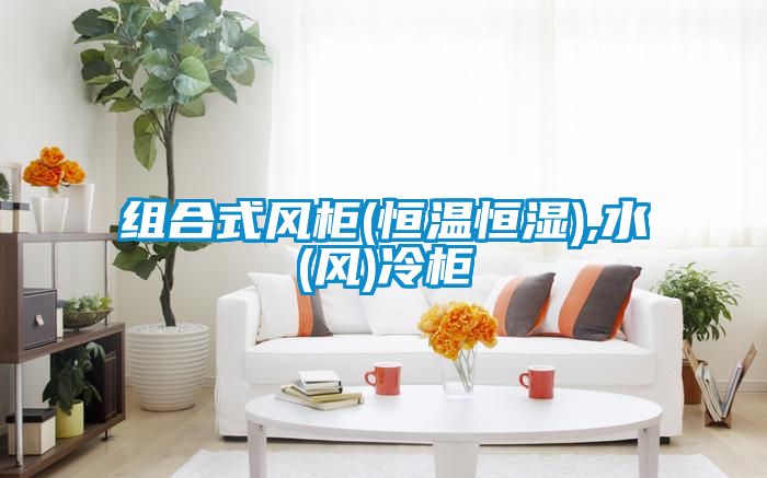 组合式风柜(恒温恒湿),水(风)冷柜