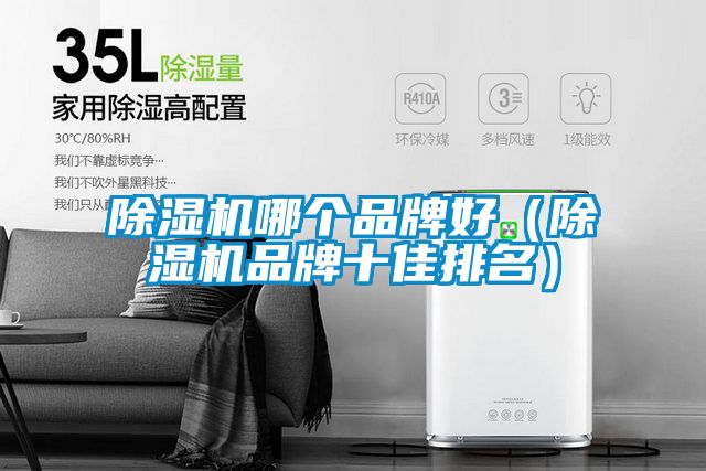 除湿机哪个品牌好（除湿机品牌十佳排名）