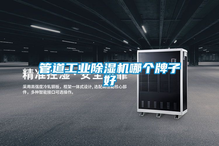 管道工业除湿机哪个牌子好