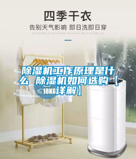 除湿机工作原理是什么 除湿机如何选购【详解】