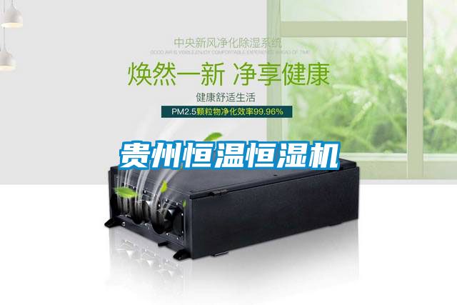 贵州恒温恒湿机
