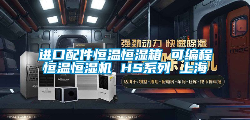 进口配件恒温恒湿箱 可编程恒温恒湿机 HS系列 上海