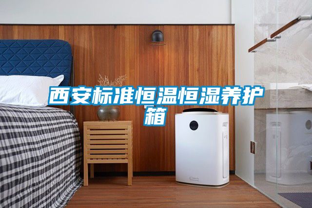 西安标准恒温恒湿养护箱