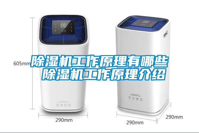 除湿机工作原理有哪些 除湿机工作原理介绍