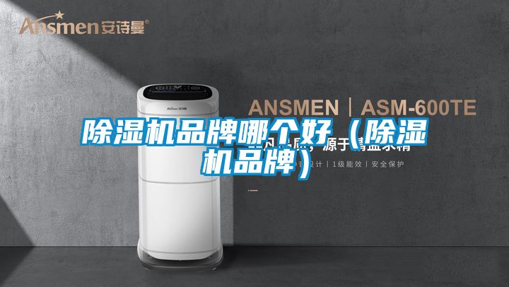 除湿机品牌哪个好（除湿机品牌）