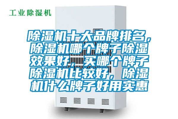 除湿机十大品牌排名，除湿机哪个牌子除湿效果好，买哪个牌子除湿机比较好，除湿机什么牌子好用实惠