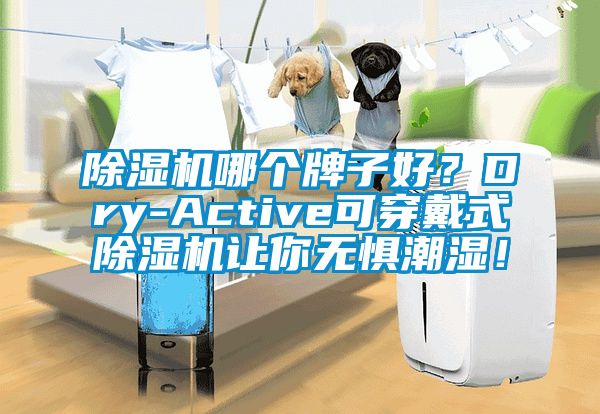 除湿机哪个牌子好？Dry-Active可穿戴式除湿机让你无惧潮湿！