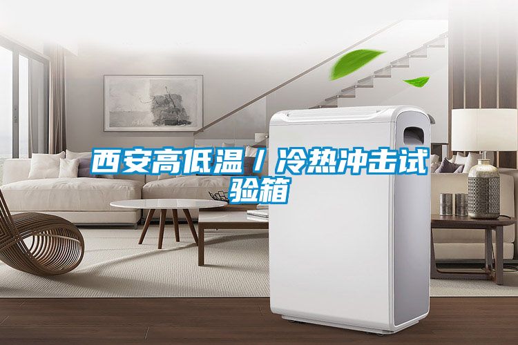 西安高低温／冷热冲击试验箱