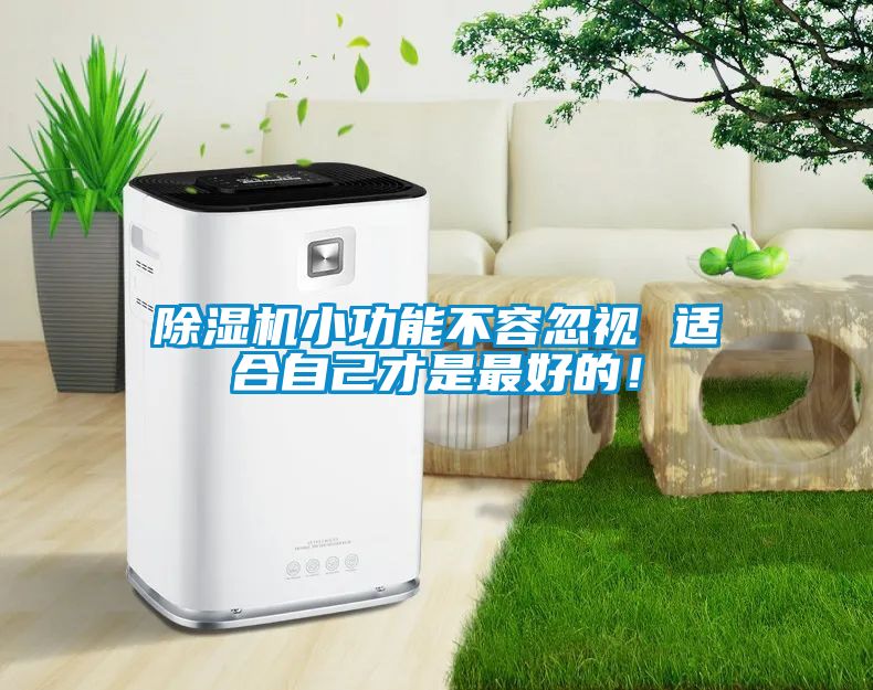 除湿机小功能不容忽视 适合自己才是最好的！
