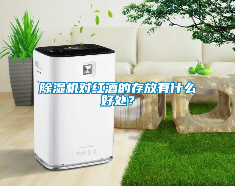 除湿机对红酒的存放有什么好处？