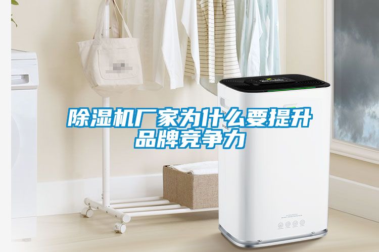 除湿机厂家为什么要提升品牌竞争力