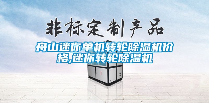 舟山迷你单机转轮除湿机价格,迷你转轮除湿机
