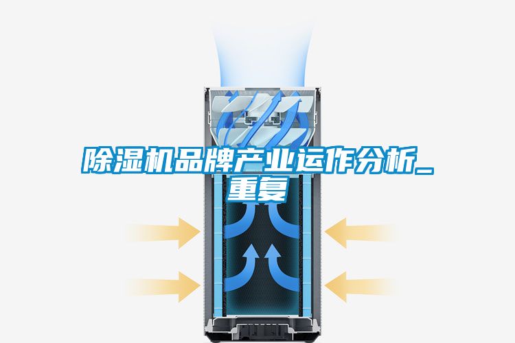 除湿机品牌产业运作分析_重复