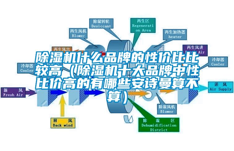 除湿机什么品牌的性价比比较高（除湿机十大品牌中性比价高的有哪些安诗曼算不算）
